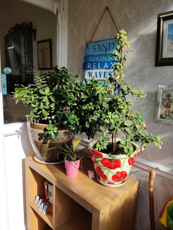Cameron Court B&B Flamborough Extérieur photo
